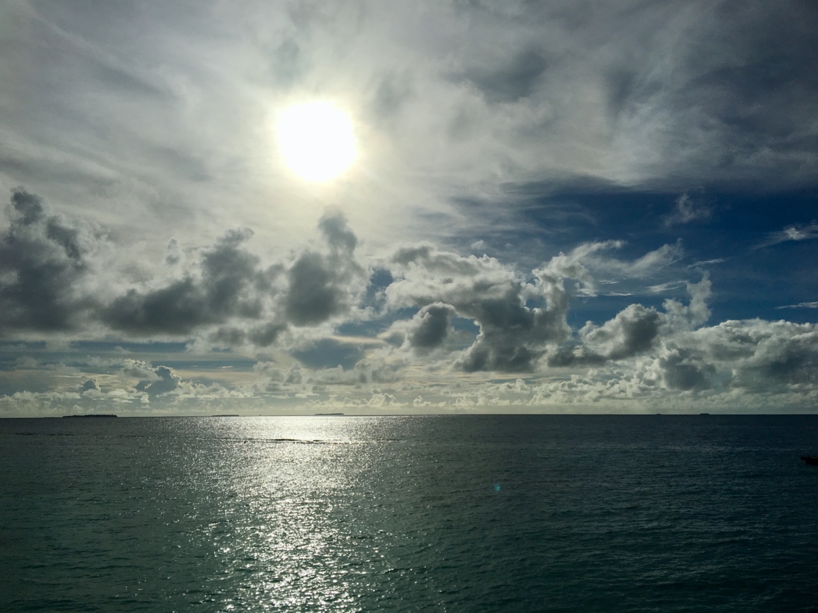 024DB712 13DD 478F A814 F087E56FD83F 1 201 a