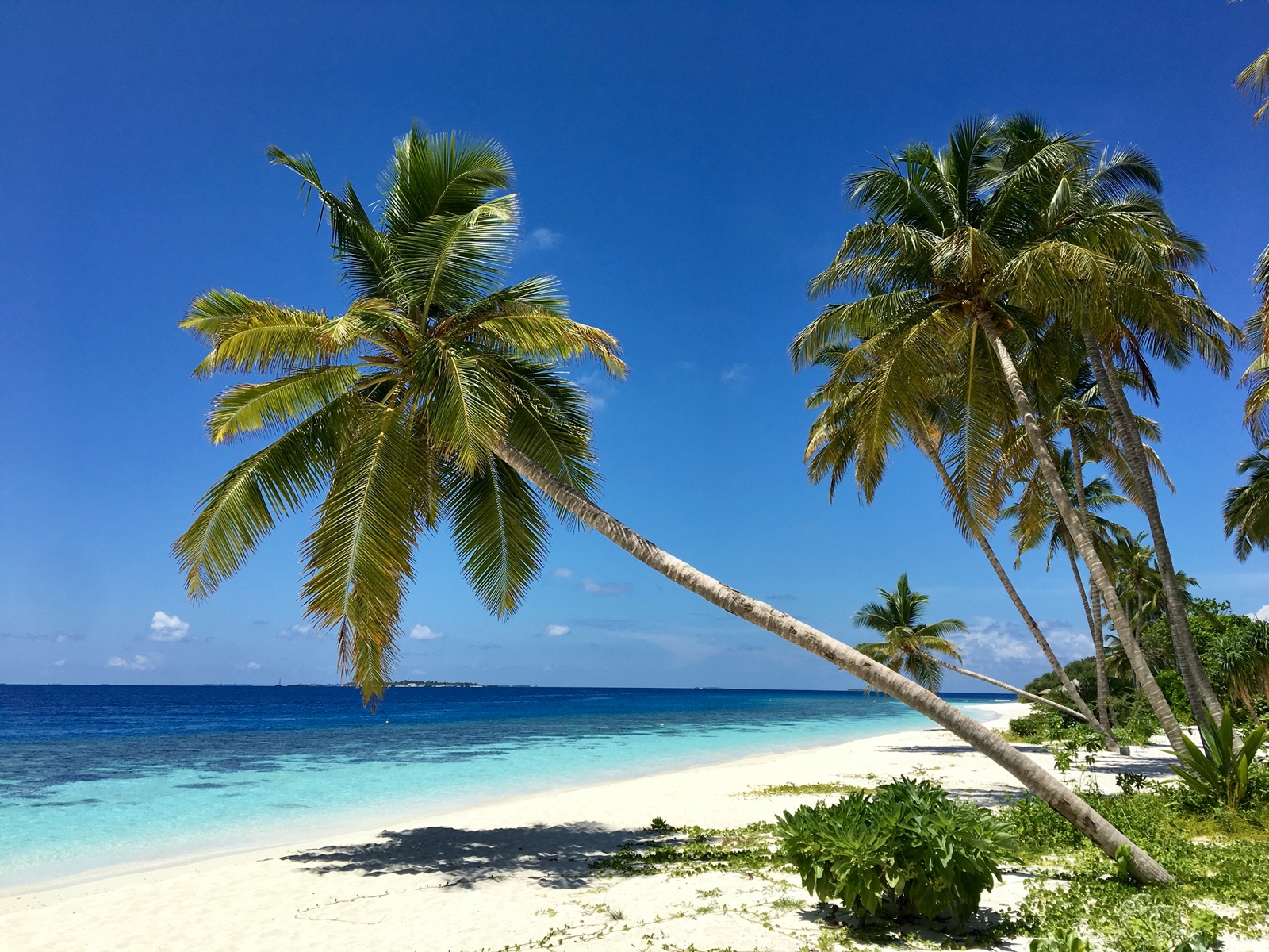 1C4427CC 8DD4 4B25 834A C4397050B23B 1 201 a