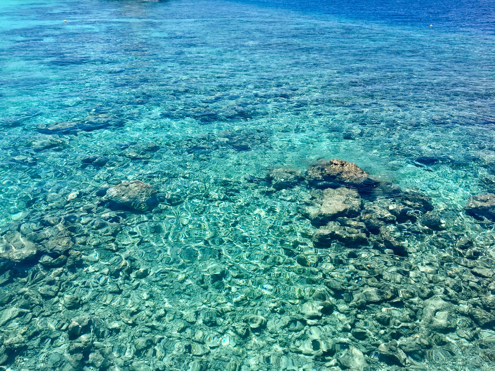 2BAD17A4 8F82 4975 B60D 6C05BB0216AC 1 201 a