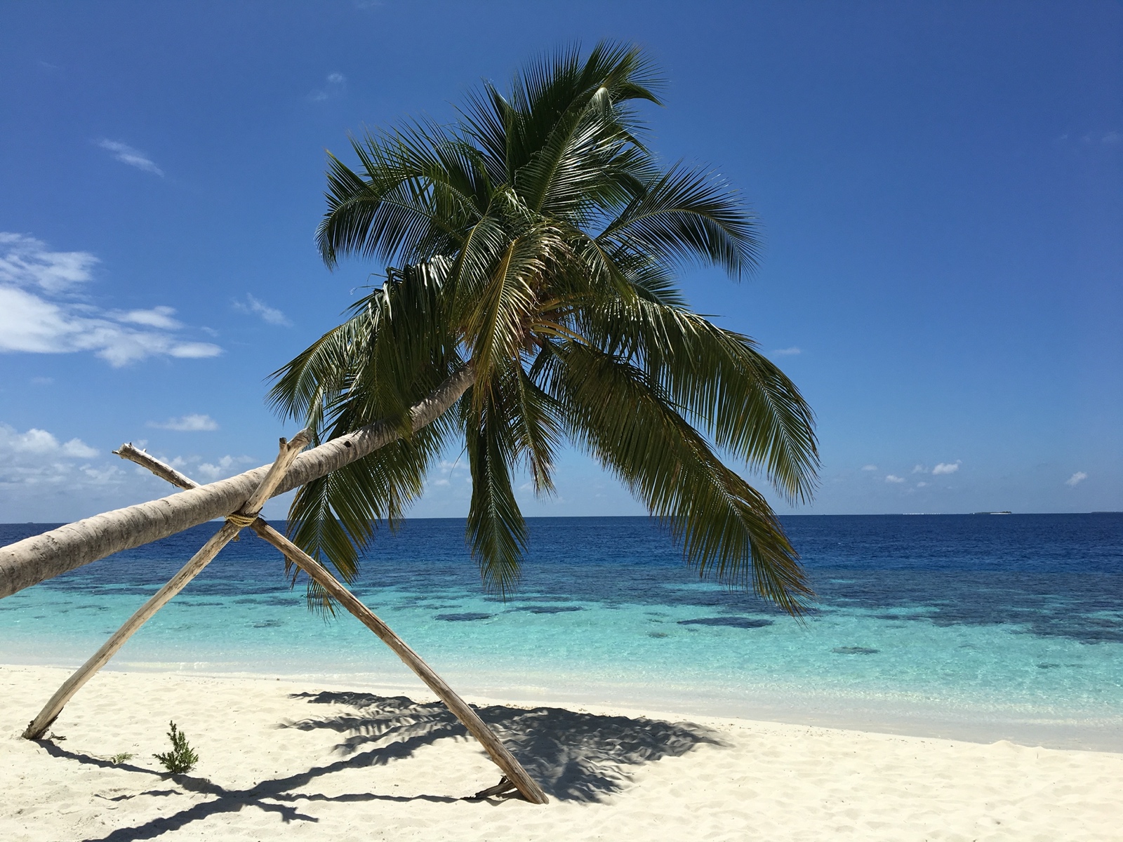 2FE40B71 B3DF 4D4A B3AF 2BB6ED6BBBC2