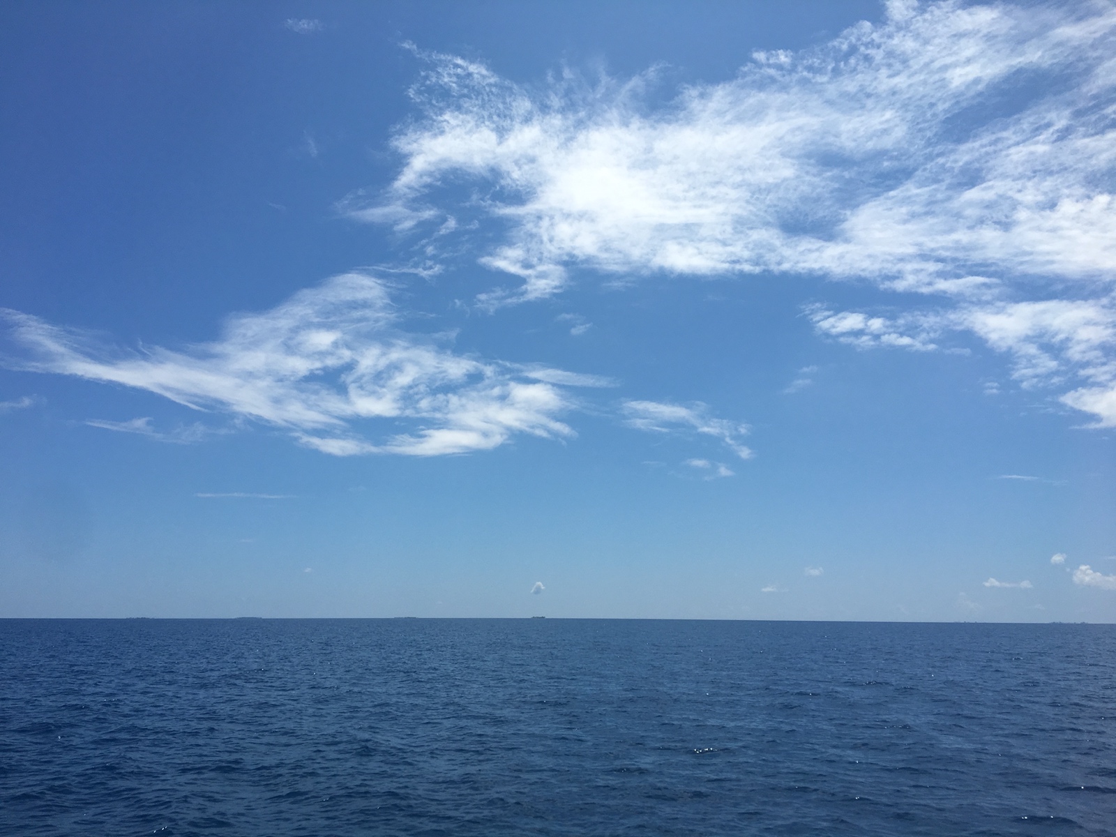 6979B9EA DCAA 45EE A710 14D1B9A27B52