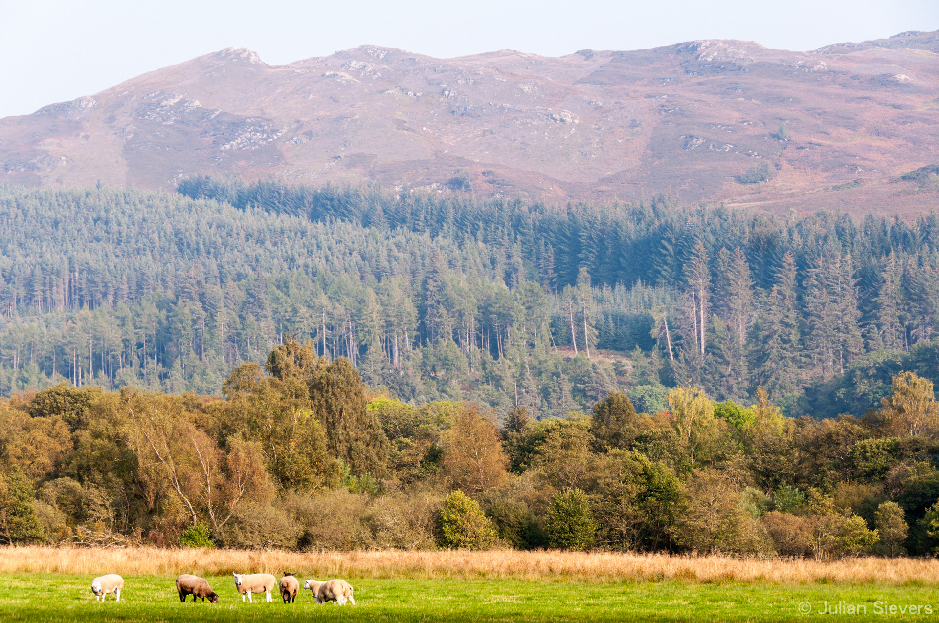 GB Scotland 028