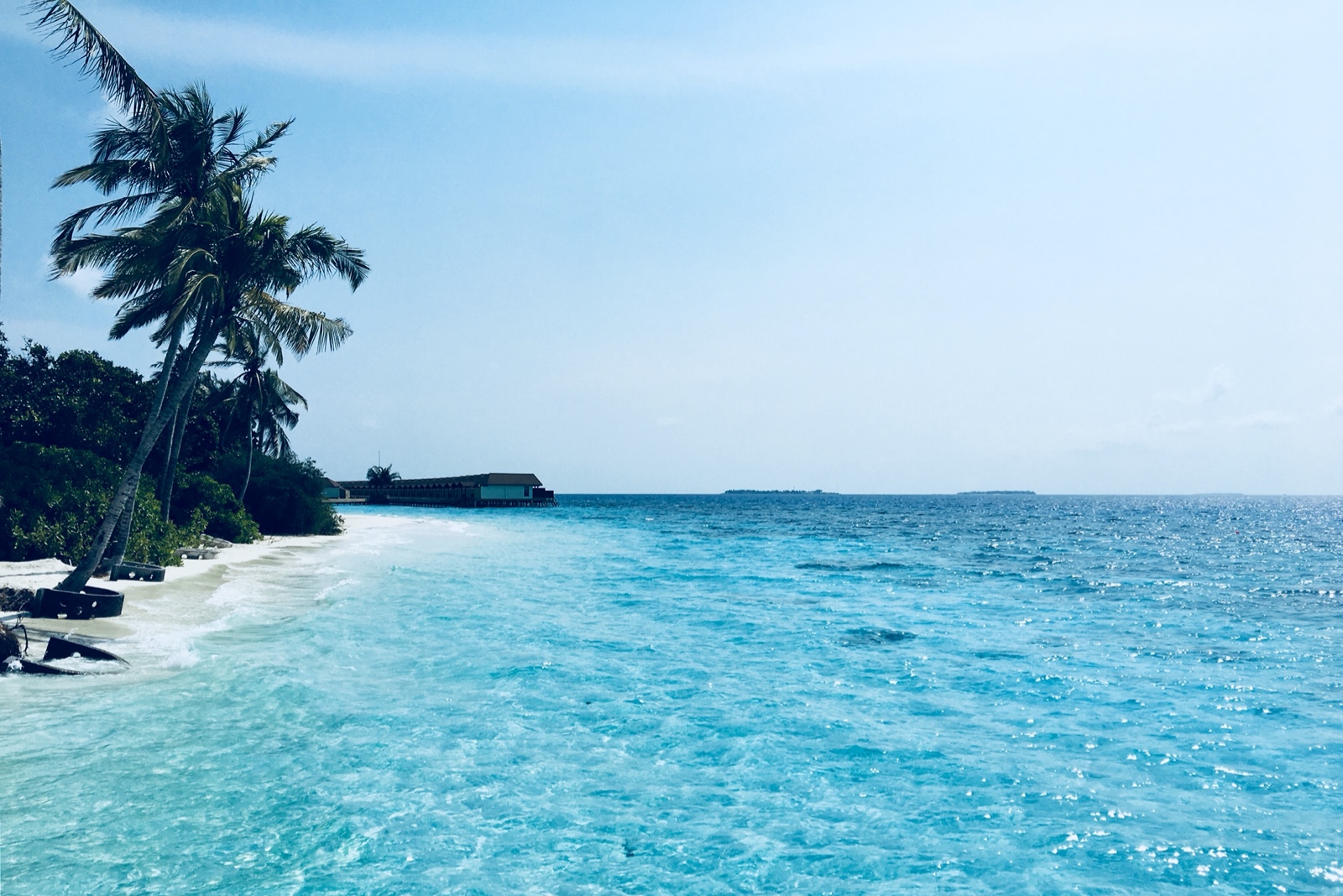 8ABD95CF C8DD 4977 9C37 6AD679B4F328 1 201 a