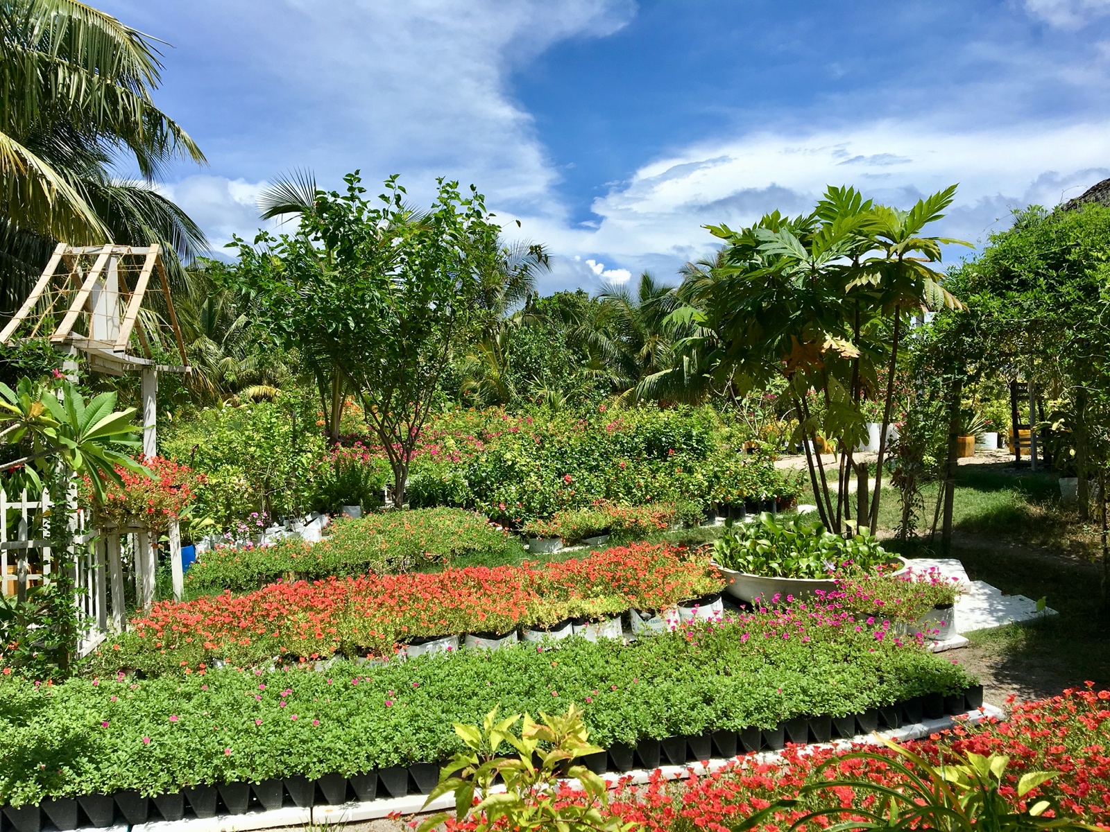 8F779C66 16B0 4782 A46A AC45BE314587 1 201 a