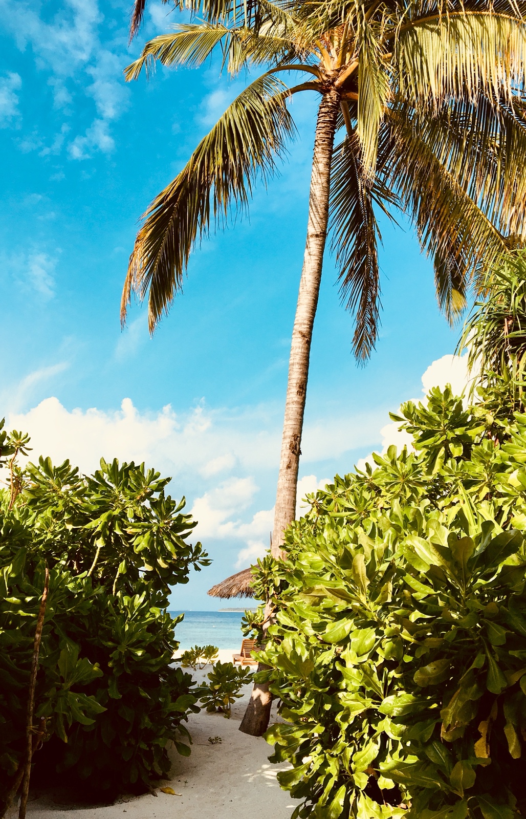 A3B0205B 6431 484B 8D15 96B9C9DCAAD4 1 201 a