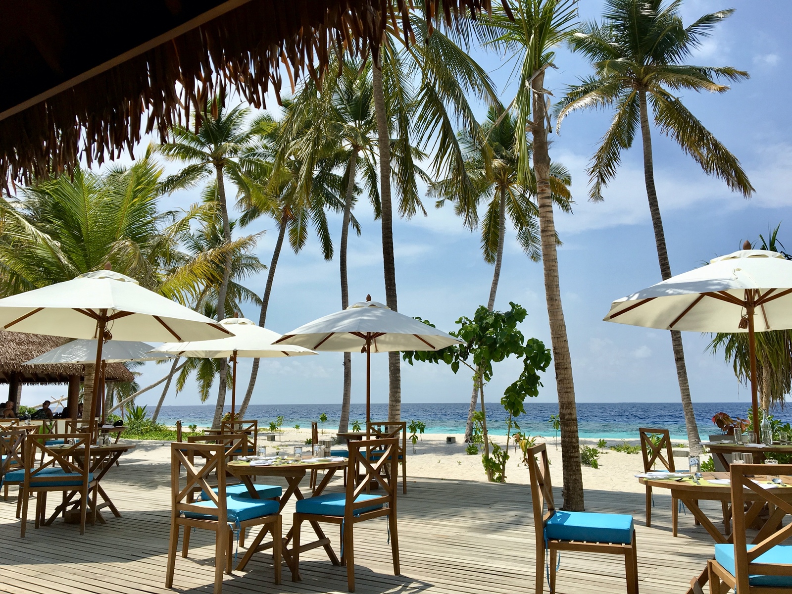 BB78A50D 80B6 4841 8A88 2019FA890037 1 201 a