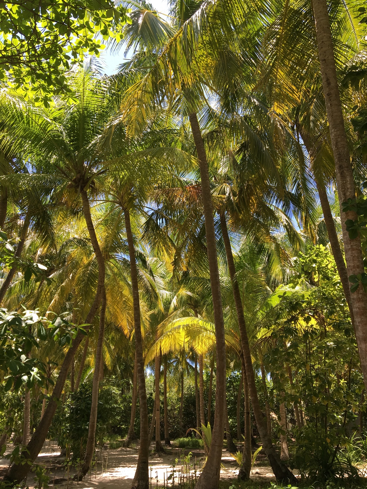 F837168C E02A 4448 BC97 18E90151F0C9